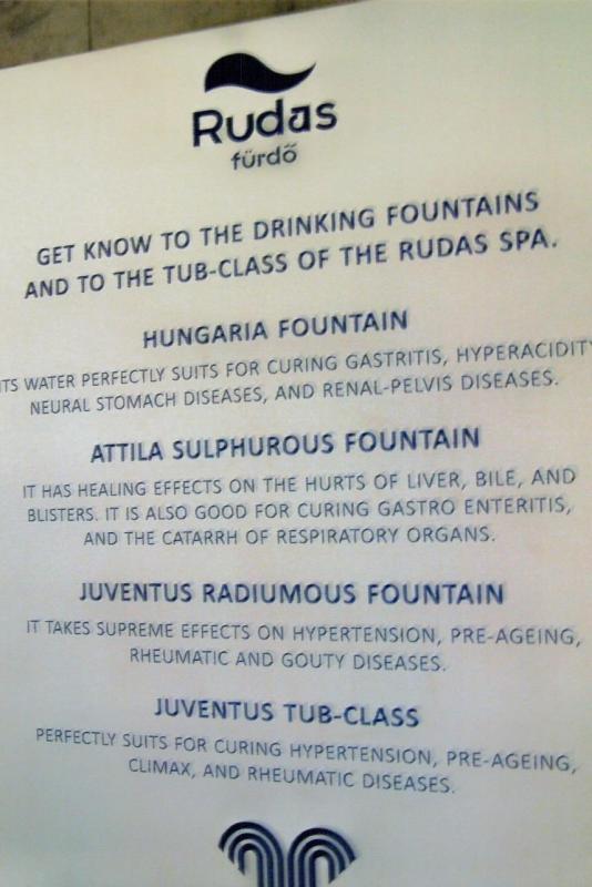 A list of the dissolved minerals in the drinking fountain waters at the Rudas Baths