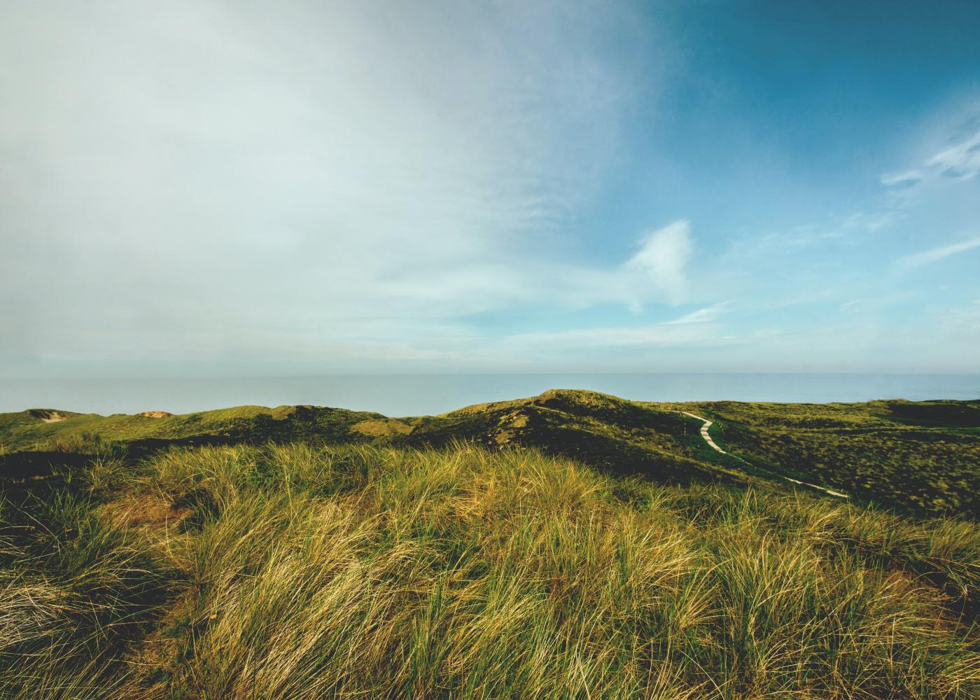 A grassy bluff with a hazy blue sky above.