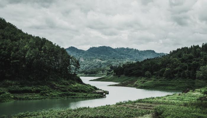 Lush green jungle with a river running through it and cloudy skies above.