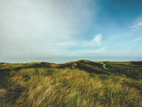 A grassy bluff with a hazy blue sky above.