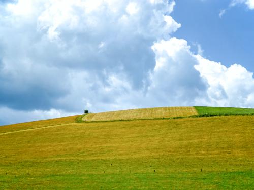 Green grass and empty farmland with cloud skies above.