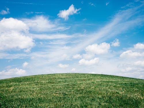 A grassy green knoll with slightly cloudy blue skies above.